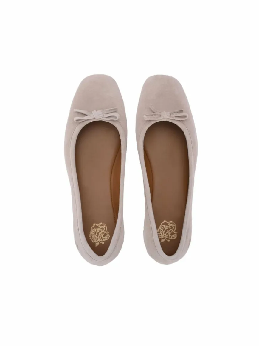 Apple of Eden Ballerinas*Damen Ballerina - ZIV taupe uni