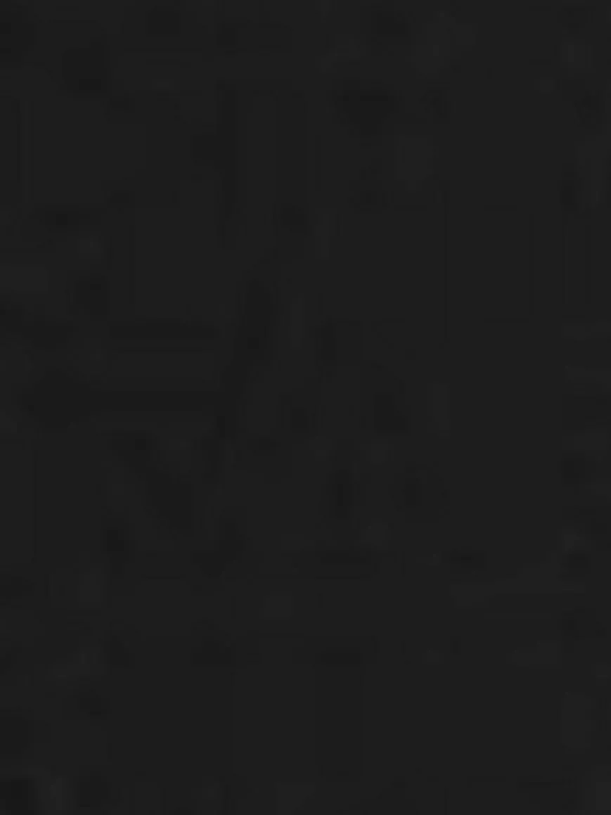 Carlo Colucci Sweatshirts & Sweatjacken*Damen Kapuzensweatshirt - Catania schwarz uni