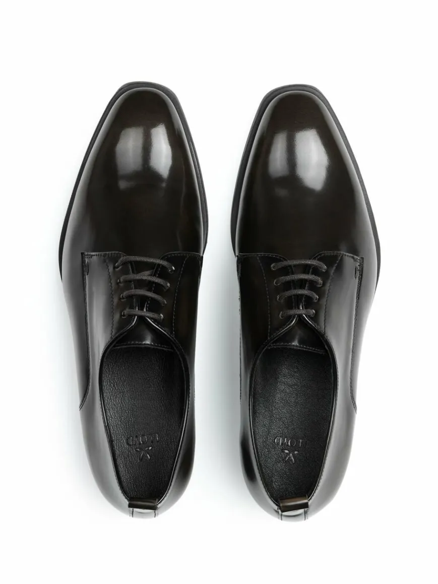 Lloyd Schnürschuhe*Damen Schnürschuh cognac uni